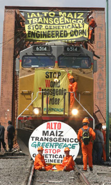 Greenpeace protesting genetic corn in Mexico